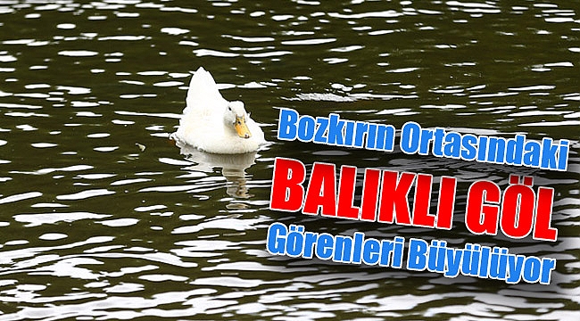 BOZKIRIN ORTASINDAKİ BALIKLI GÖL BÜYÜLÜYOR