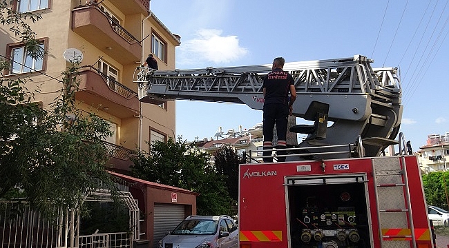 ÇATI ŞAÇAĞINA SIKIŞAN GÜVERCİN İÇİN SEFERBER OLDULAR