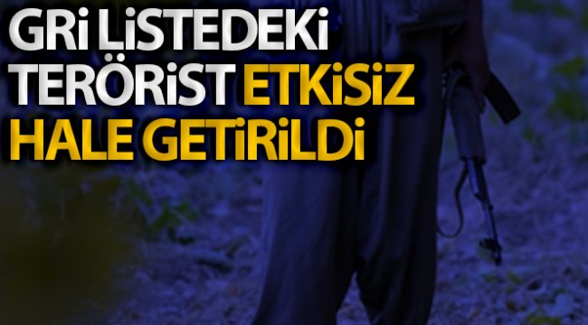 Etkisiz hale getirilen ‘Hejar’ kod adlı terörist 500 bin TL ödülle aranıyormuş