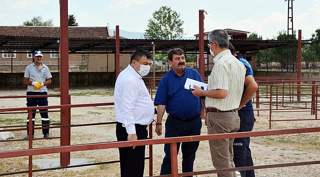 HAYVAN PAZARI KURBAN BAYRAMI’NA HAZIRLANIYOR