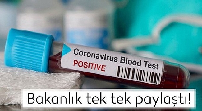 İşte Türkiye'nin Kovid-19 raporu
