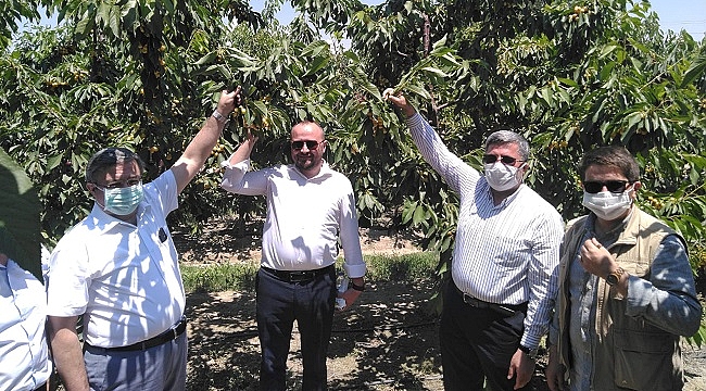“KİRAZ İHRACATINDA ÇÖZÜM GELİŞTİRİYORUZ”