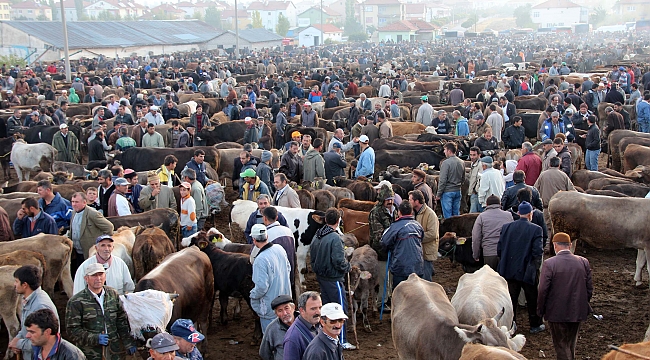 KURBAN KESİM YERLERİ BELİRLENDİ