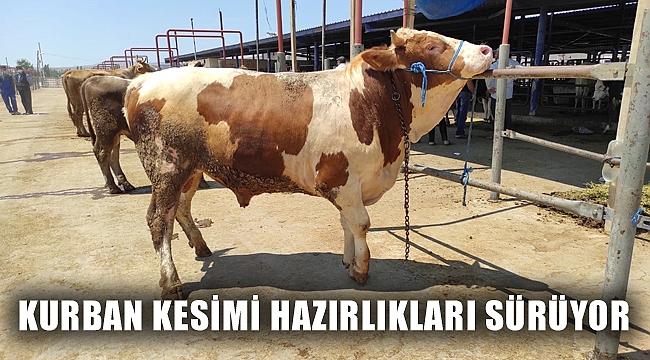 KURBAN KESİMİ HAZIRLIKLARI SÜRÜYOR