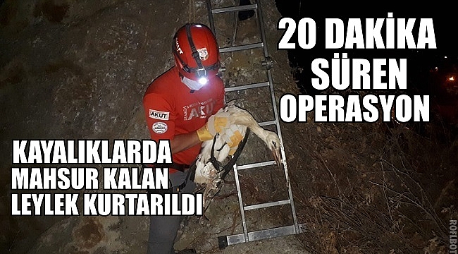 LEYLEK KURTARMA OPERASYONU 20 DAKİKA SÜRDÜ