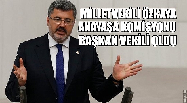 MİLLETVEKİLİ ÖZKAYA BAŞKANVEKİLİ OLDU