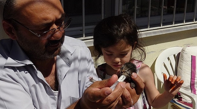 OTOMOBİLİN ÇARPTIĞI KEDİNİN YAVRULARINA DEDE VE TORUN SAHİP ÇIKTI