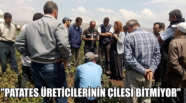 "PATATES ÜRETİCİLERİNİN ÇİLESİ BİTMİYOR"