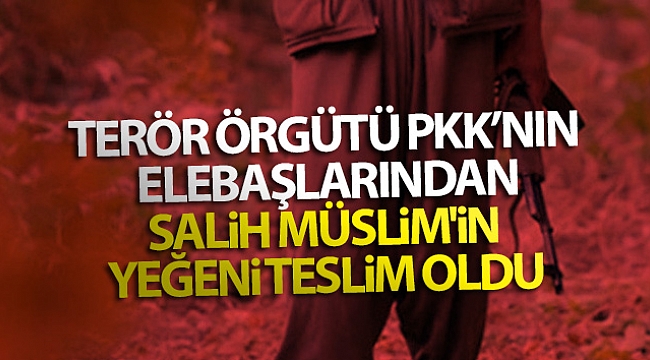 PKK'DA ÇÖZÜLME DEVAM EDİYOR