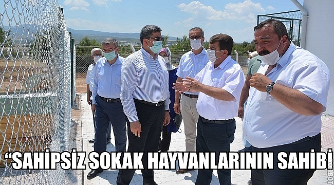“SAHİPSİZ SOKAK HAYVANLARININ SAHİBİ OLDUK”