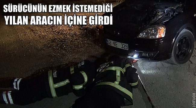 SÜRÜCÜNÜN EZMEK İSTEMEDİĞİ YILAN ARACIN İÇİNE GİRDİ