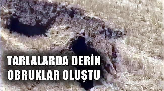 TARLALARDA DERİN OBRUKLAR OLUŞTU