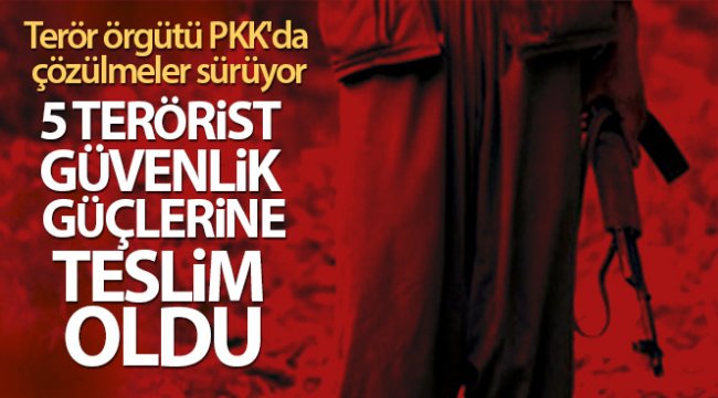Terör örgütü PKK'da çözülmeler sürüyor: 5 terörist teslim oldu
