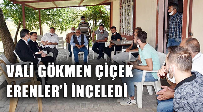 VALİ ÇİÇEK ERENLERDE İNCELEMELERDE BULUNDU