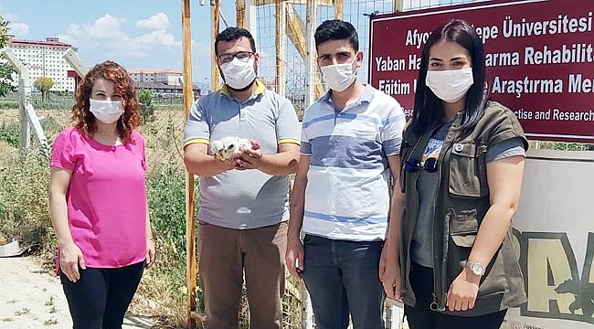 YAVRU ŞAHİN KURTARILAMADI