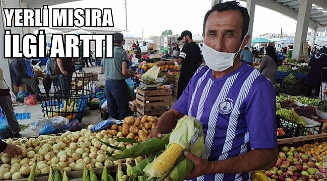 YERLİ MISIRLARA İLGİ ARTTI