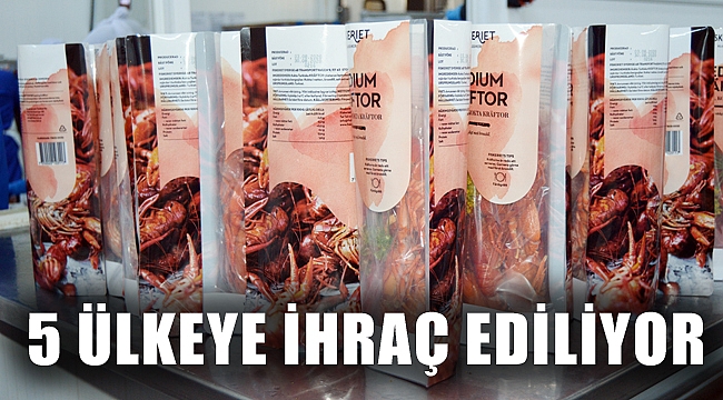 5 ÜLKEYE DERE OTU SOSLU KONSERVE KEREVİT İHRACAATI
