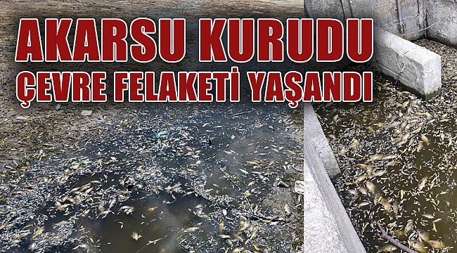 AKARSUYUN KURUMASI İLE ÇEVRE FELAKETİ YAŞANDI