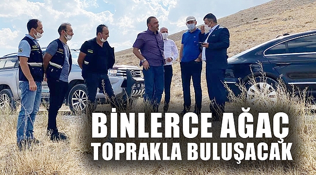 BİNLERCE AĞAÇ TOPRAKLA BULUŞACAK