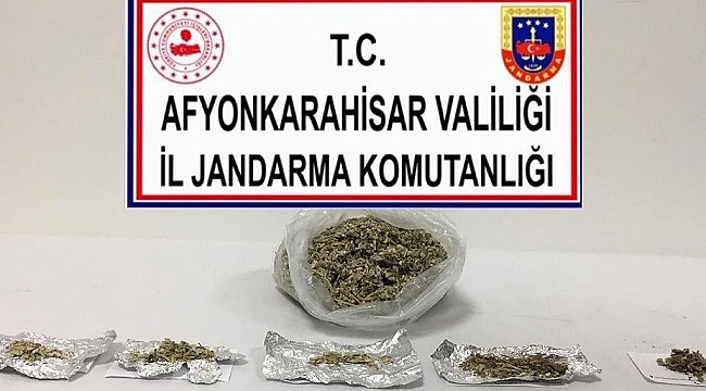 BONZAİ SATMAK İSTERKEN YAKALANDILAR