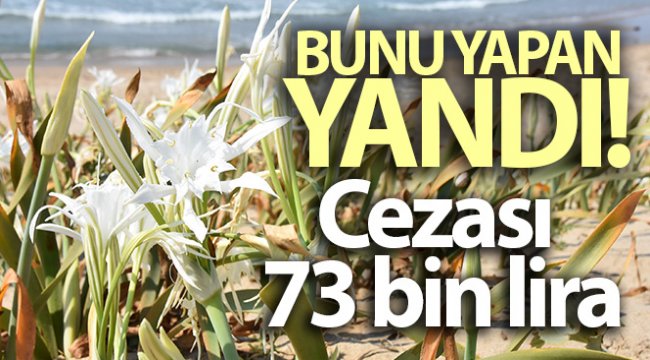 Bu zambağı koparmanın cezası 73 bin lira