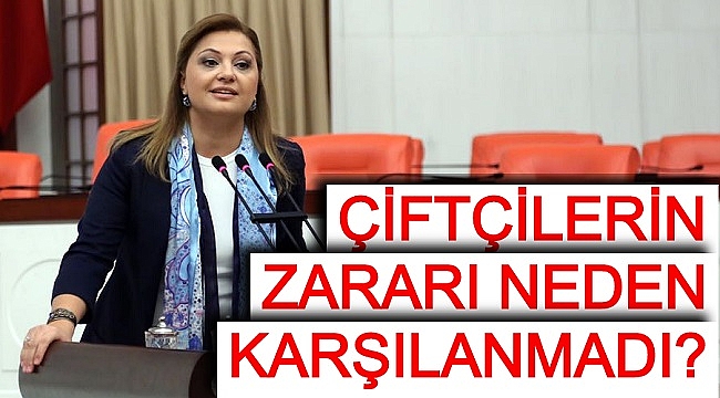 ÇİFTÇİLERİN ZARARI NEDEN KARŞILANMADI?