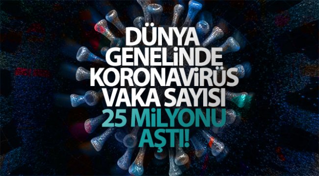 Dünya genelinde korona virüs vaka sayısı 25 milyonu aştı