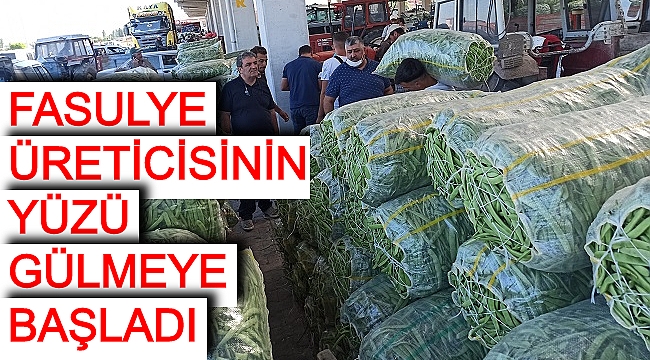 FASULYE ÜRETİCİSİNİN YÜZÜ GÜLMEYE BAŞLADI