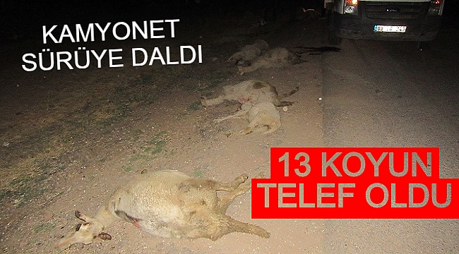 KAMYONET SÜRÜYE DALDI