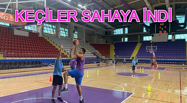 KEÇİLER SAHAYA İNDİ