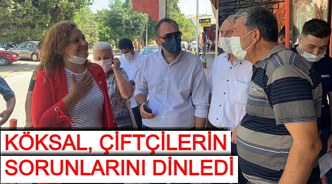 KÖKSAL, ÇİFTÇİLERİN SORUNLARINI DİNLEDİ