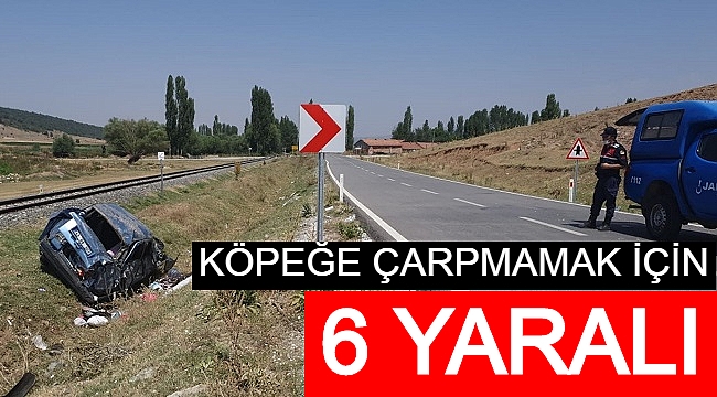 KÖPEĞE ÇARPMAMAK İÇİN FRENE BASTI: 6 YARALI