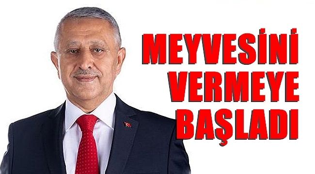 MEYVESİNİ VERMEYE BAŞLADI