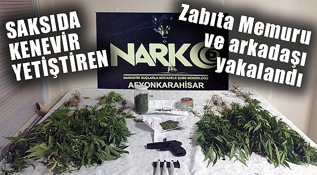 SAKSIDA KENEVİR YETİŞTİRDİLER