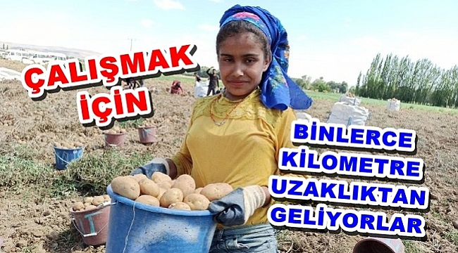 ÇALIŞMAK İÇİN BİNLERCE KİLOMETRE UZAKLIKTAN GELİYORLAR
