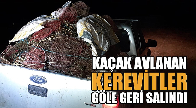 KAÇAK AVLANAN YAKLAŞIK 4 BİN KEREVİT GÖLE GERİ SALINDI