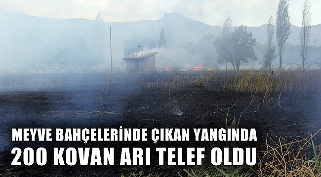 MEYVE BAHÇELERİNDE ÇIKAN YANGINDA 200 KOVAN ARI TELEF OLDU