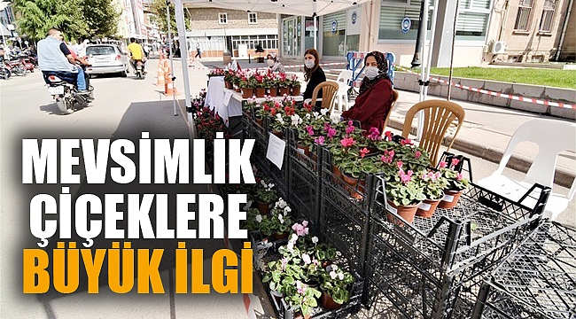 SANDIKLI BELEDİYESİNİN MEVSİMLİK ÇİÇEKLERİNE BÜYÜK İLGİ 