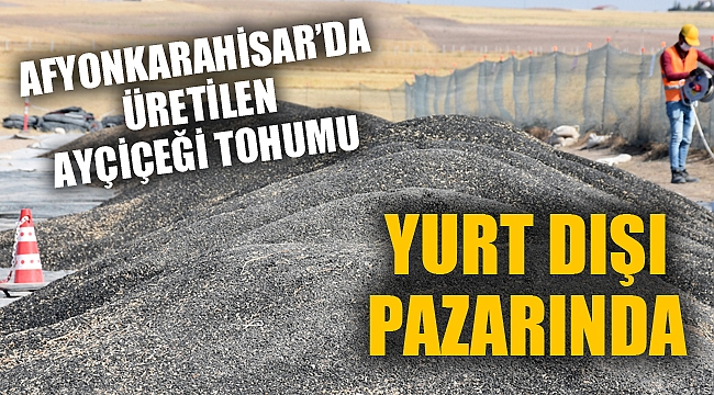 BU TOHUMLAR YURT DIŞI PAZARINDA