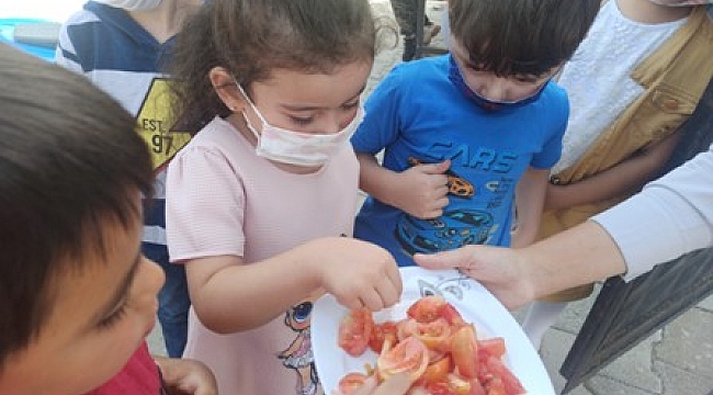 Doğal yaşamı anaokulunda öğreniyorlar