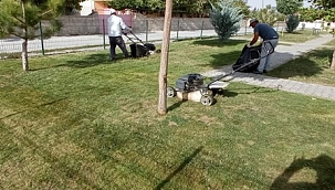 Emirdağ Belediyesi sonbahar çalışmalarına başladı