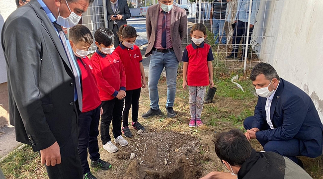 FİDAN DİKEREK HATAY’DAKİ ORMAN YANGININA DİKKAT ÇEKTİLER