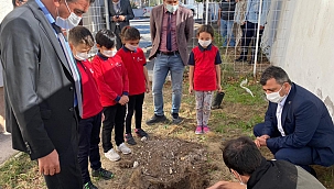 FİDAN DİKEREK HATAY’DAKİ ORMAN YANGININA DİKKAT ÇEKTİLER