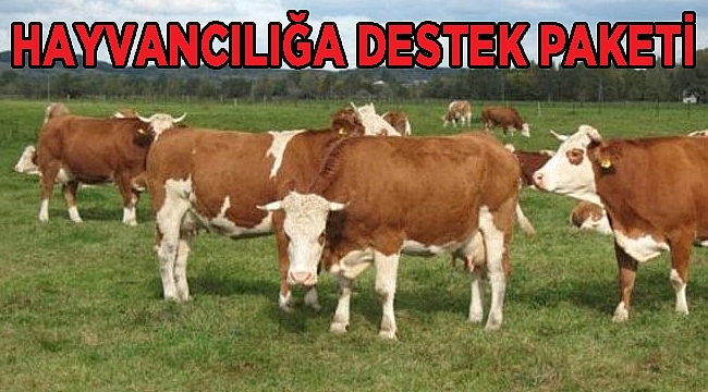 HAYVANCILIĞA DESTEK PAKET