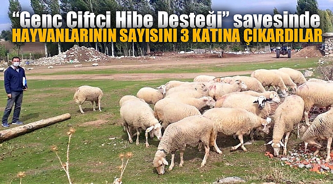 HAYVANLARININ SAYISINI 3 KATINA ÇIKARDILAR