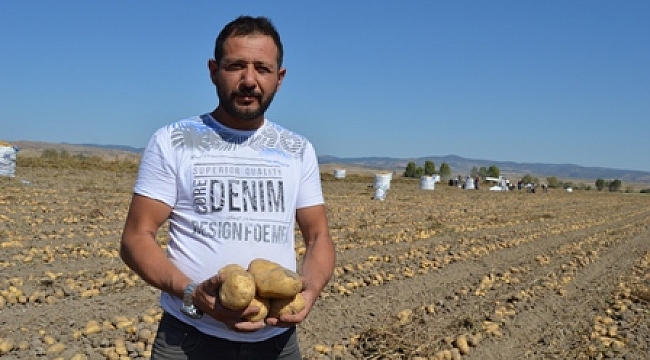 Kışlık patates fiyatı üreticinin yüzünü güldürüyor