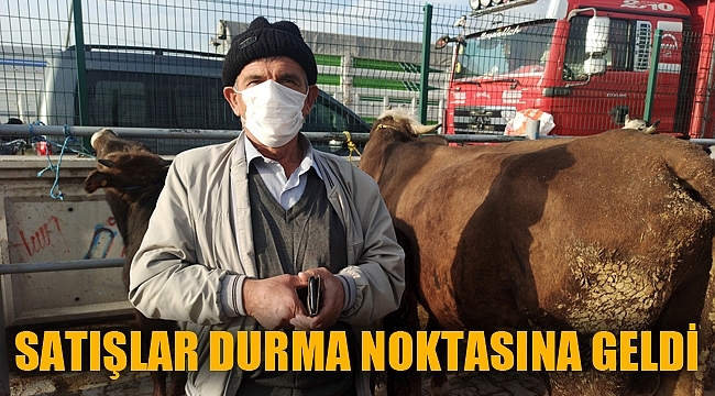 SATIŞLAR DURMA NOKTASINA GELDİ