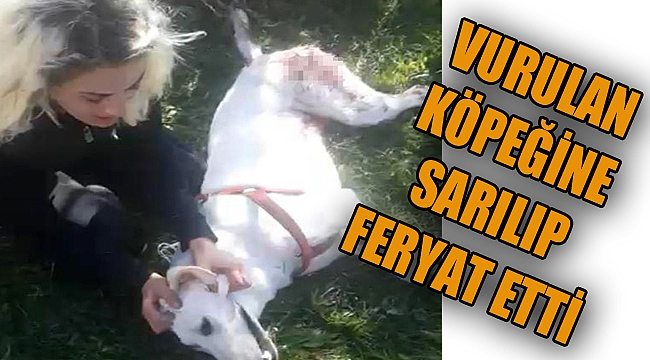 AFYON’DA VURULAN KÖPEĞİNE SARILIP FERYAT ETTİ