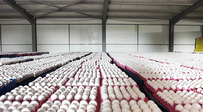 Afyon’un ihracatı yüzde 40 azaldı