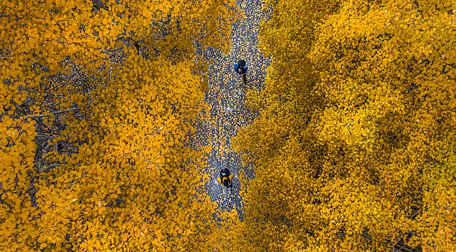 Erkmen’de kartpostallık görüntü